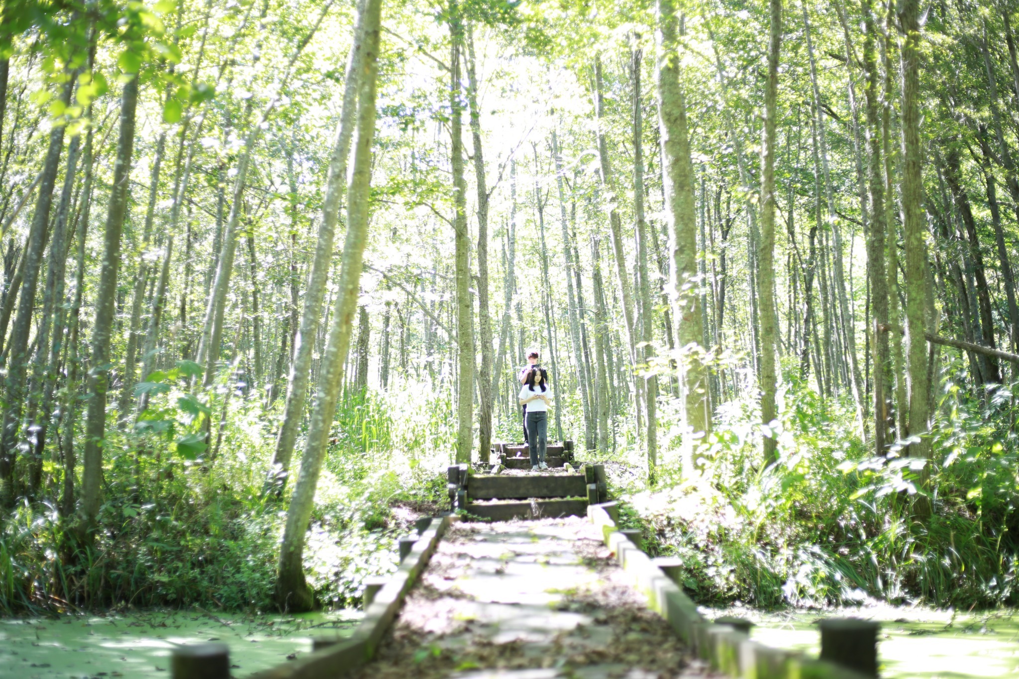 朝起きたら森さんぽの非日常