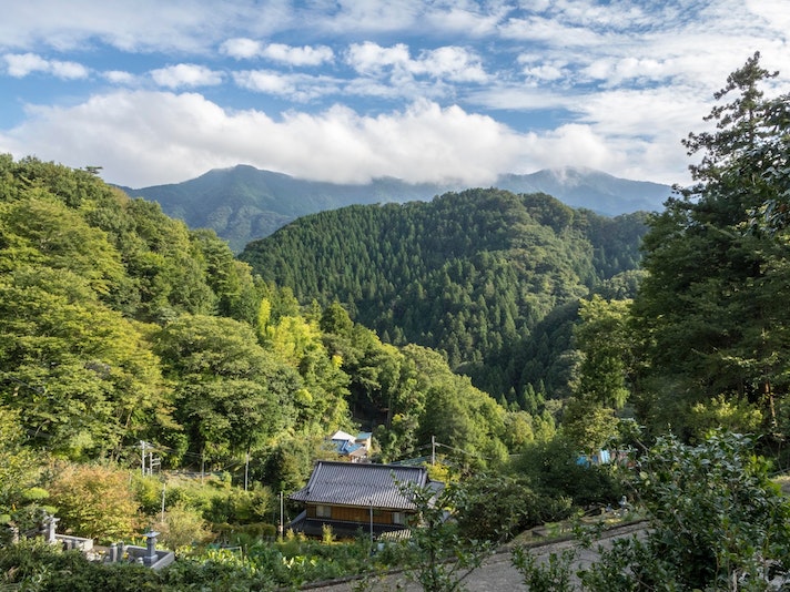 柚子の家から、丹沢山系と菅井の山里が望めます。