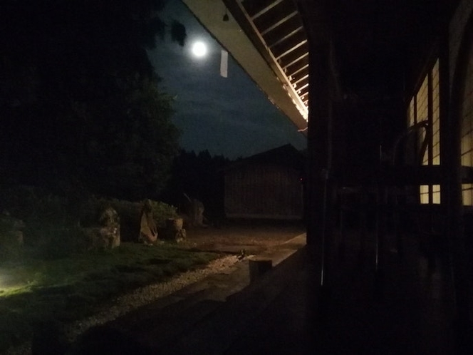 季節によっては縁側から月夜を眺めることもできます