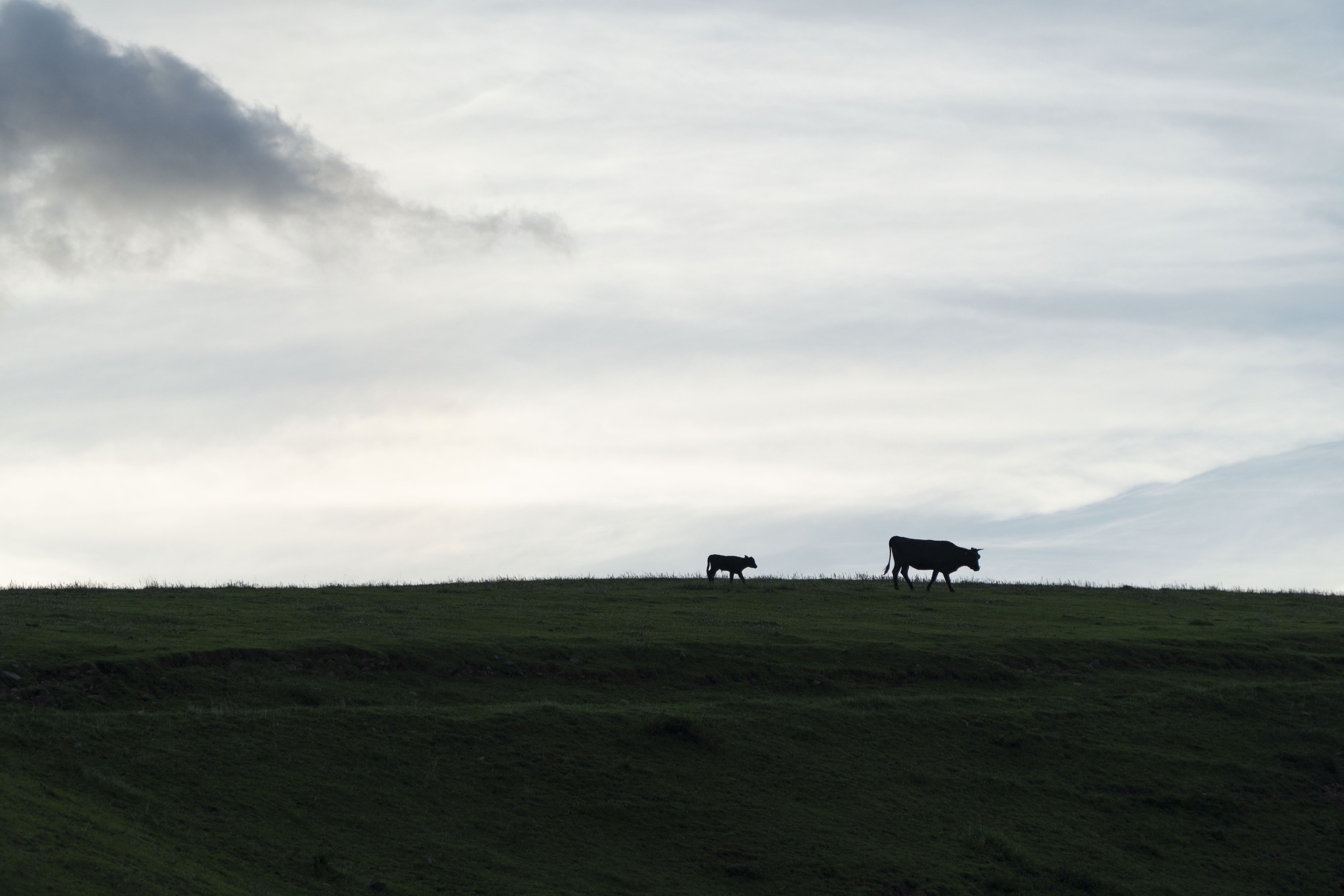 【別館NEST】（早割30）連泊割引10％OFF - ご朝食付きプラン