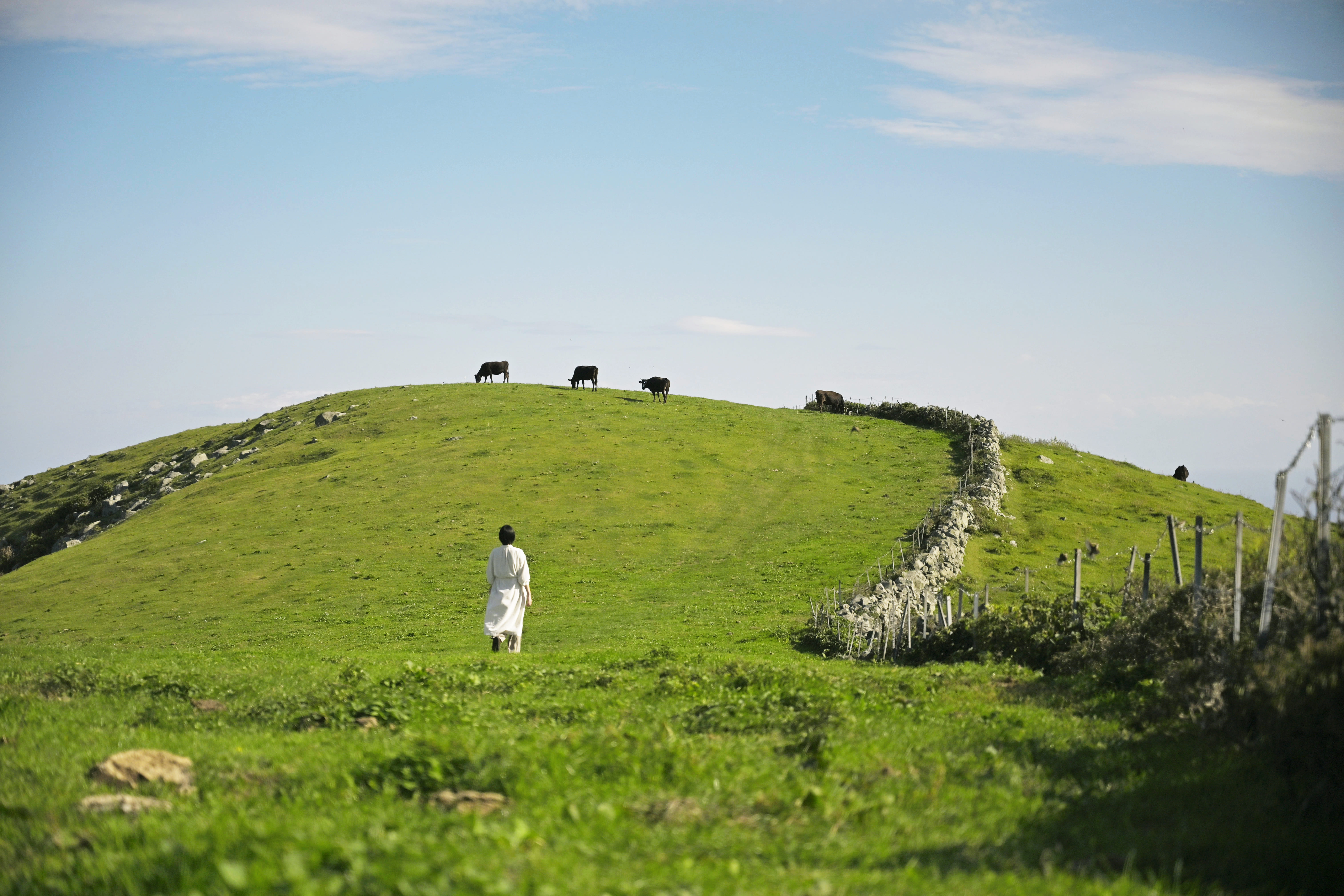 知夫里島｜赤ハゲ山