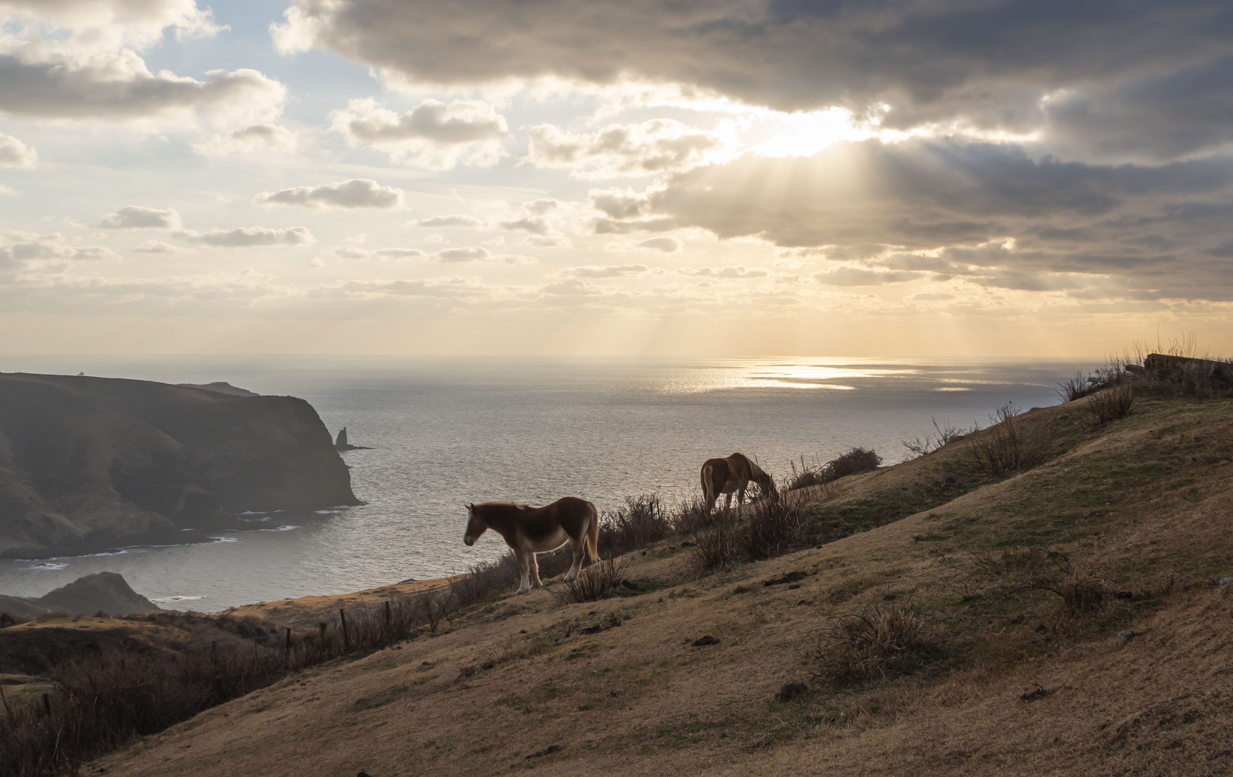 西ノ島｜摩天崖