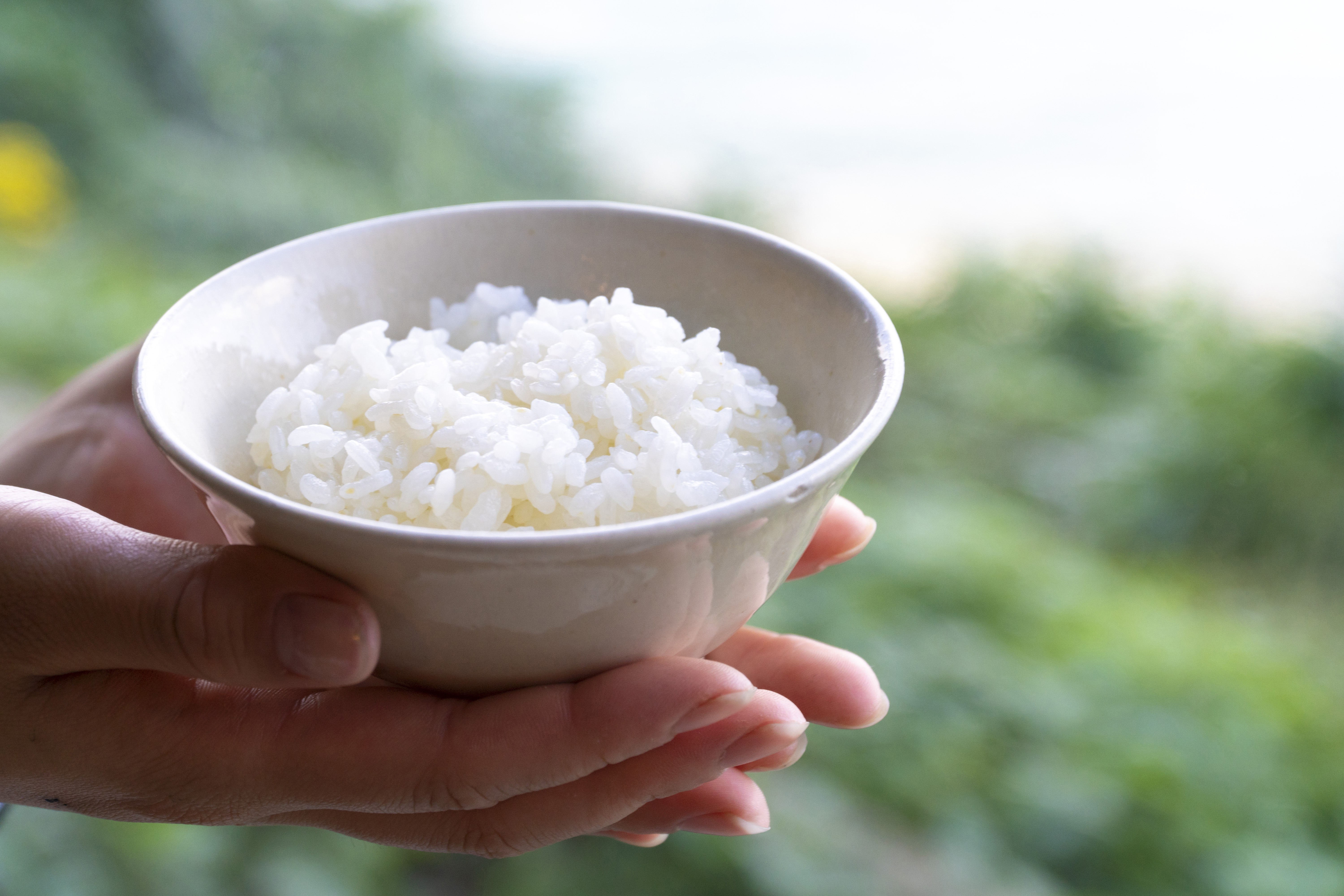 海士町産のお米