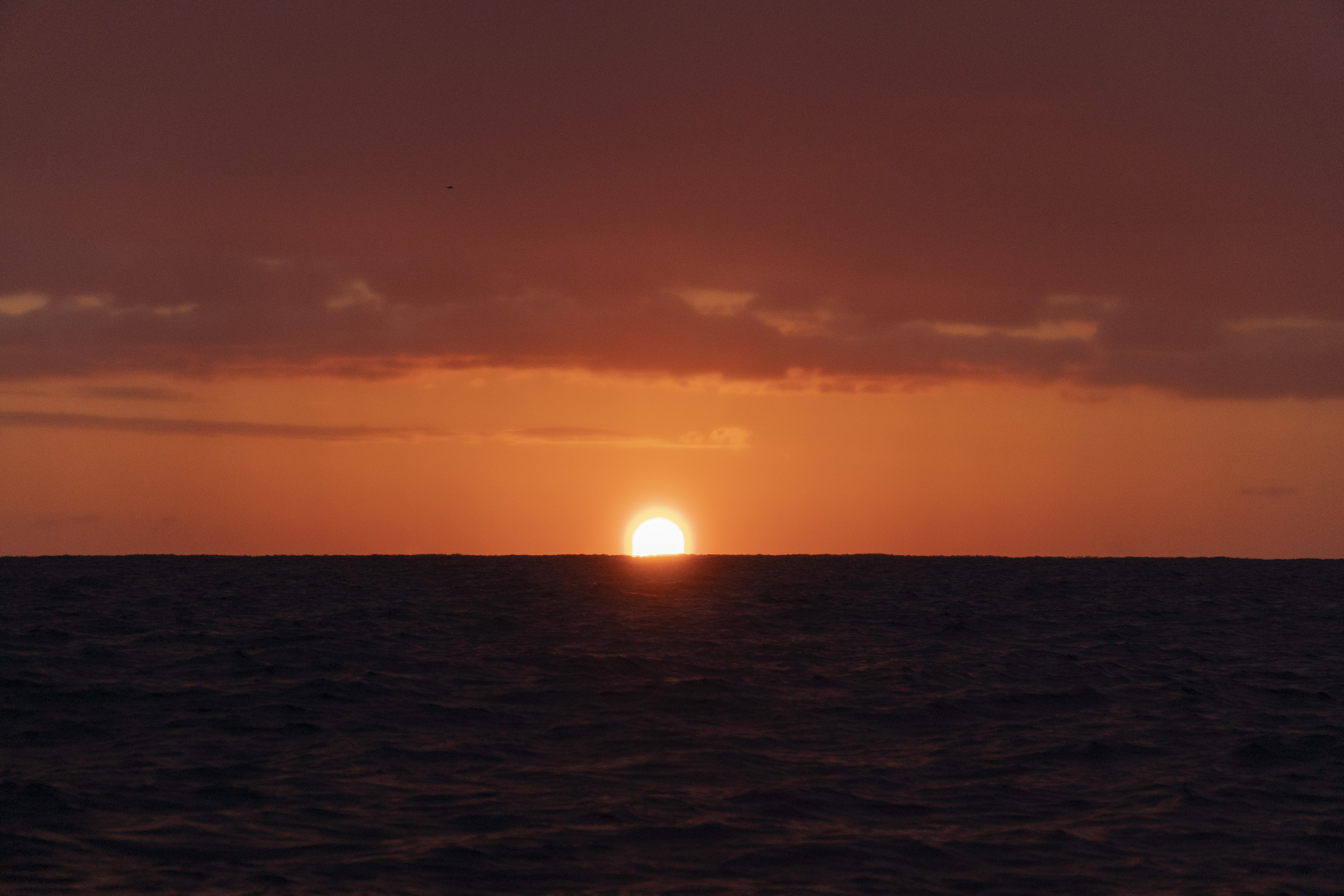 サンライズクルージング