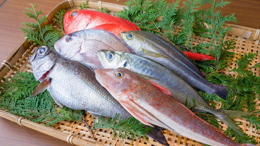 【舟盛のお魚】新鮮な魚介類を使った舟盛が楽しめるプランもご用意（魚種や産地は時期により異なります）