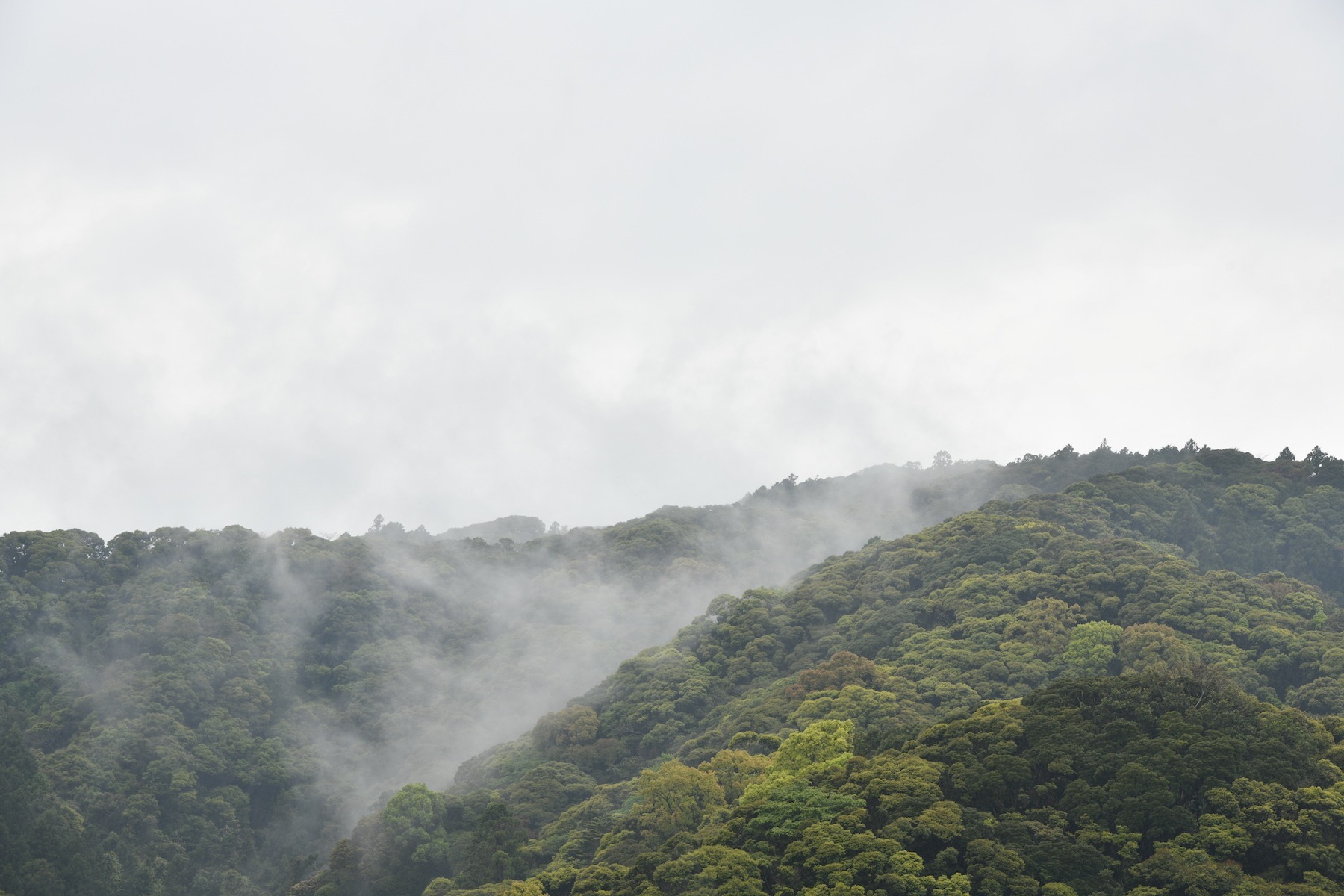 都会の喧騒から離れて大自然の中で五感を整えることができます。
