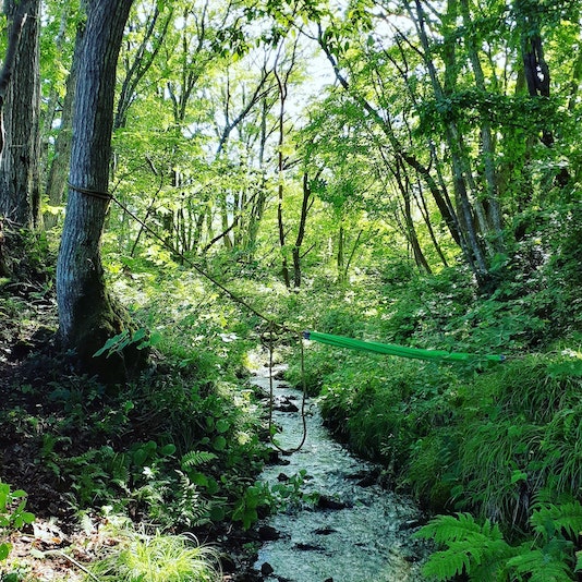 綺麗な小川が流れています。