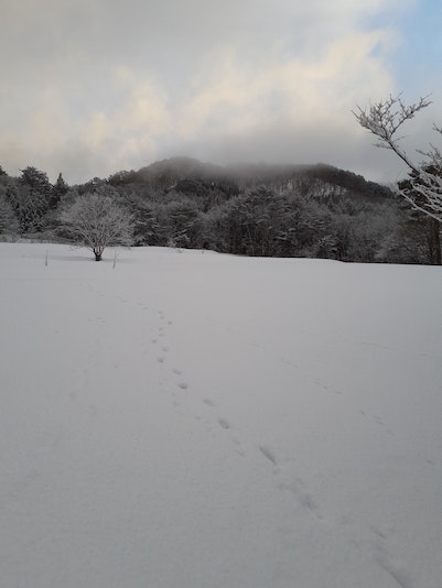 冬は真っ白。