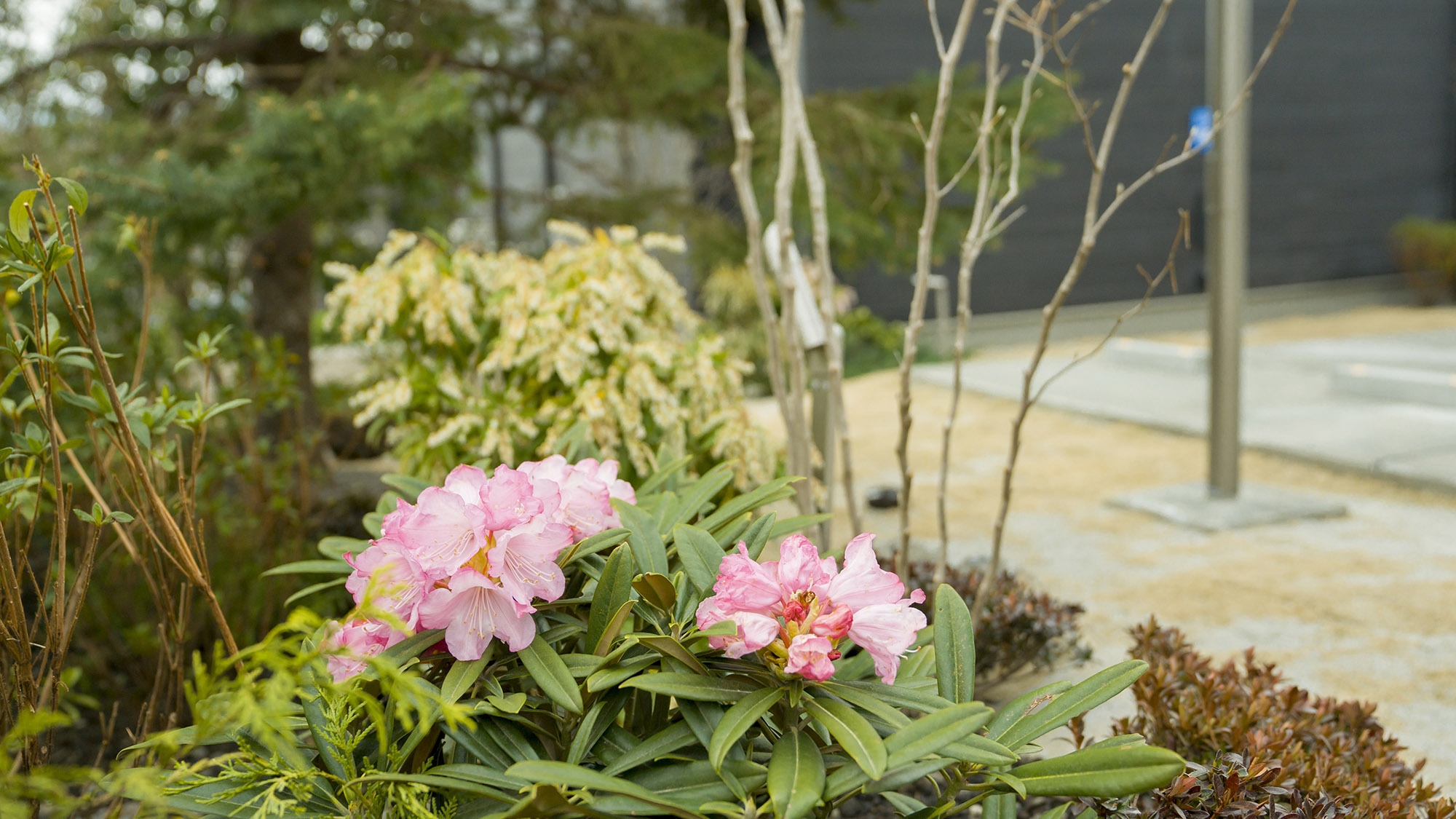 【夕朝付き】地元の食材にこだわった選べる夕食！贅沢なリゾートステイをお楽しみ下さい（10名分）
