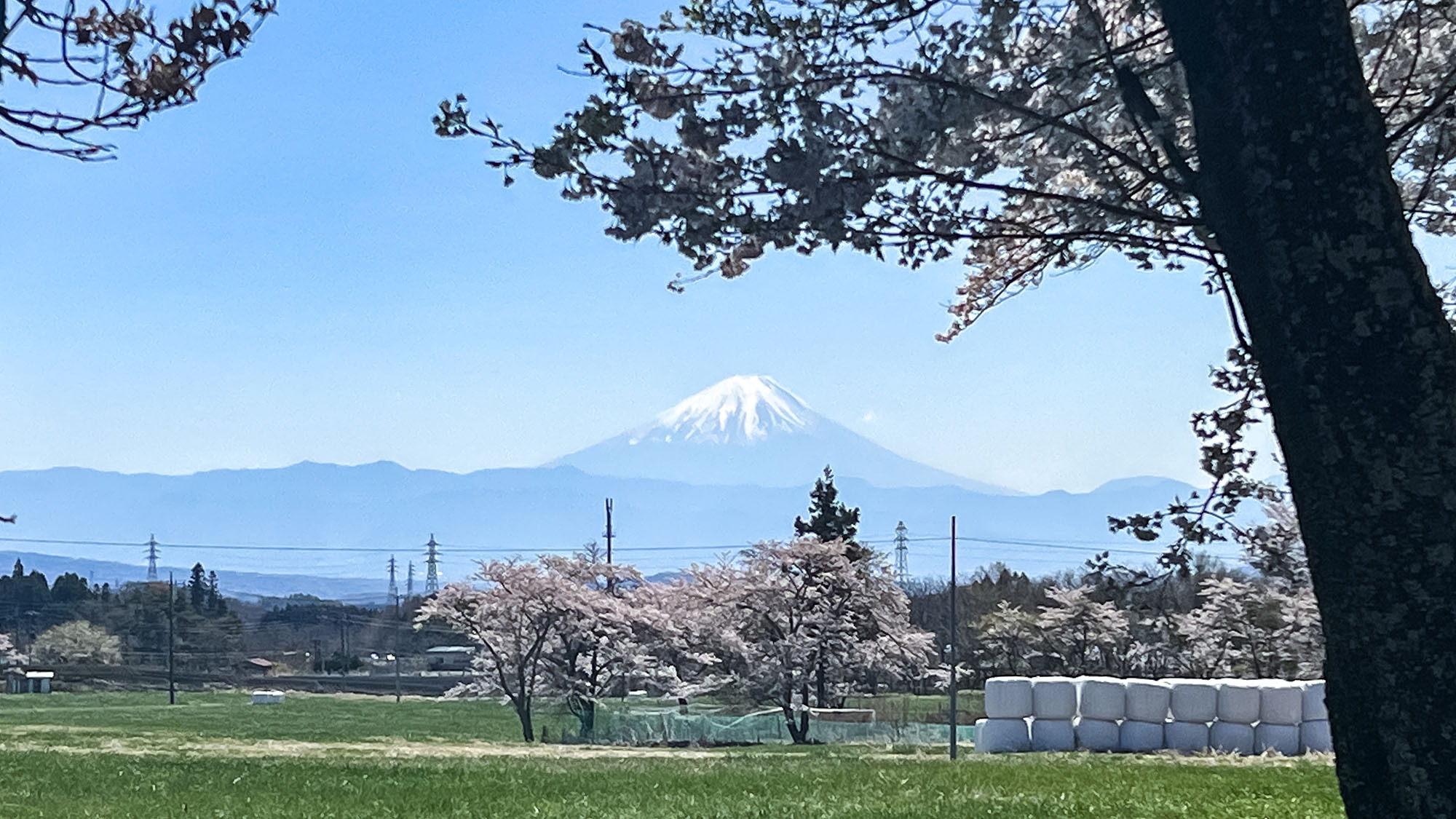 【夕朝付き】地元の食材にこだわった選べる夕食！贅沢なリゾートステイをお楽しみ下さい（6名分）