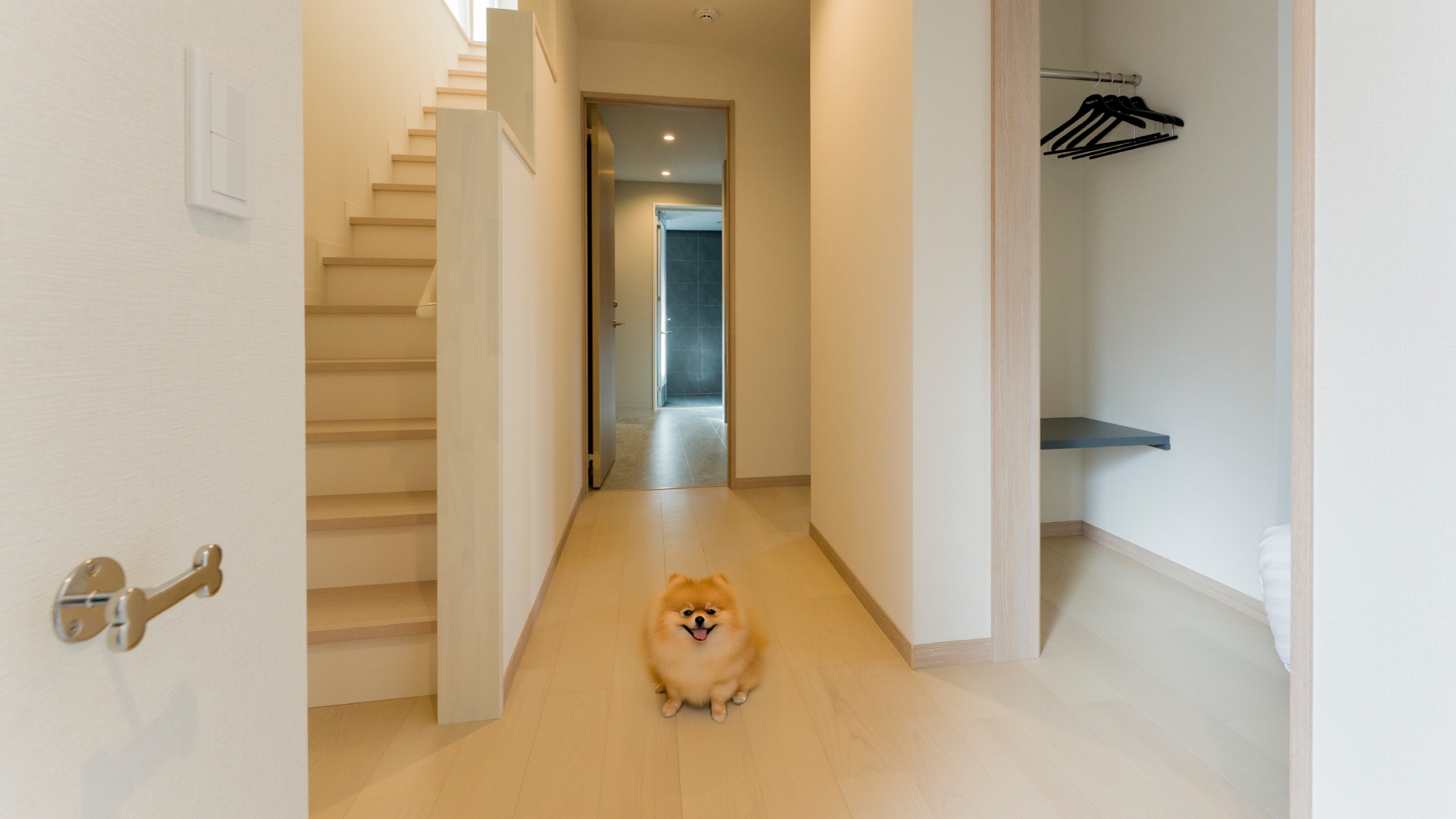 ペットやお子様連れでも安心いただけるよう、それぞれに合ったお部屋仕様をご準備