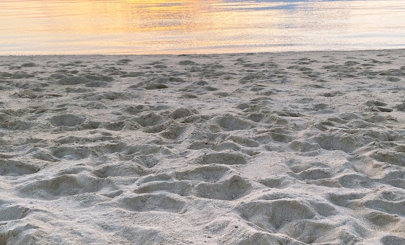 癒しの砂浜