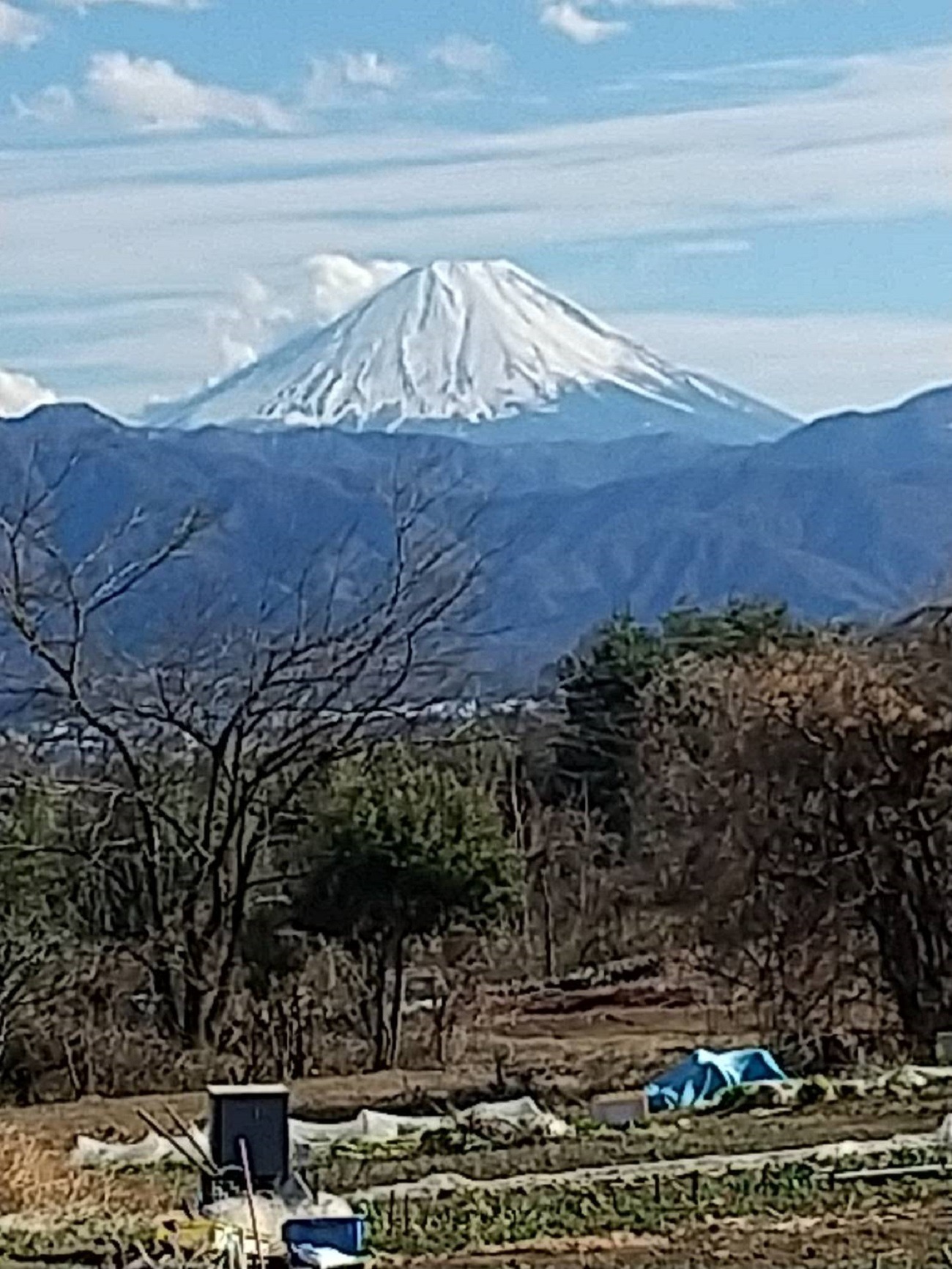 樫の家から北に5分ほど上がった高台から富士山を眺めることができます。...