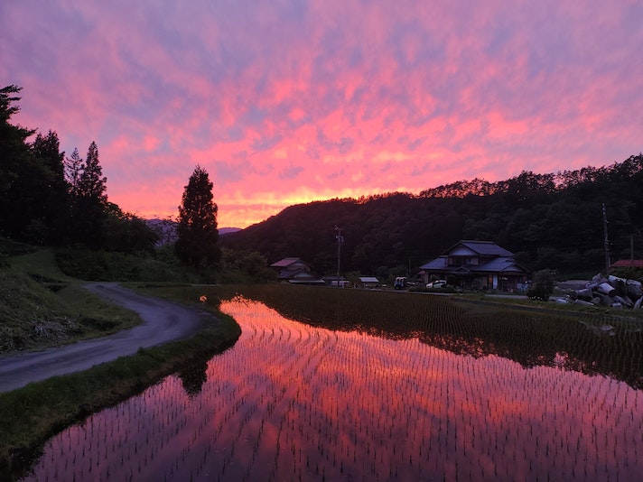 周辺の景色♪