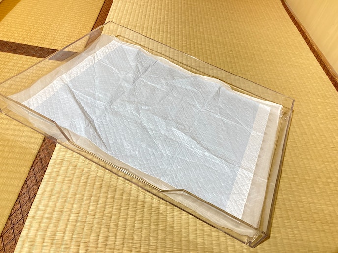 ワンちゃん用トイレ