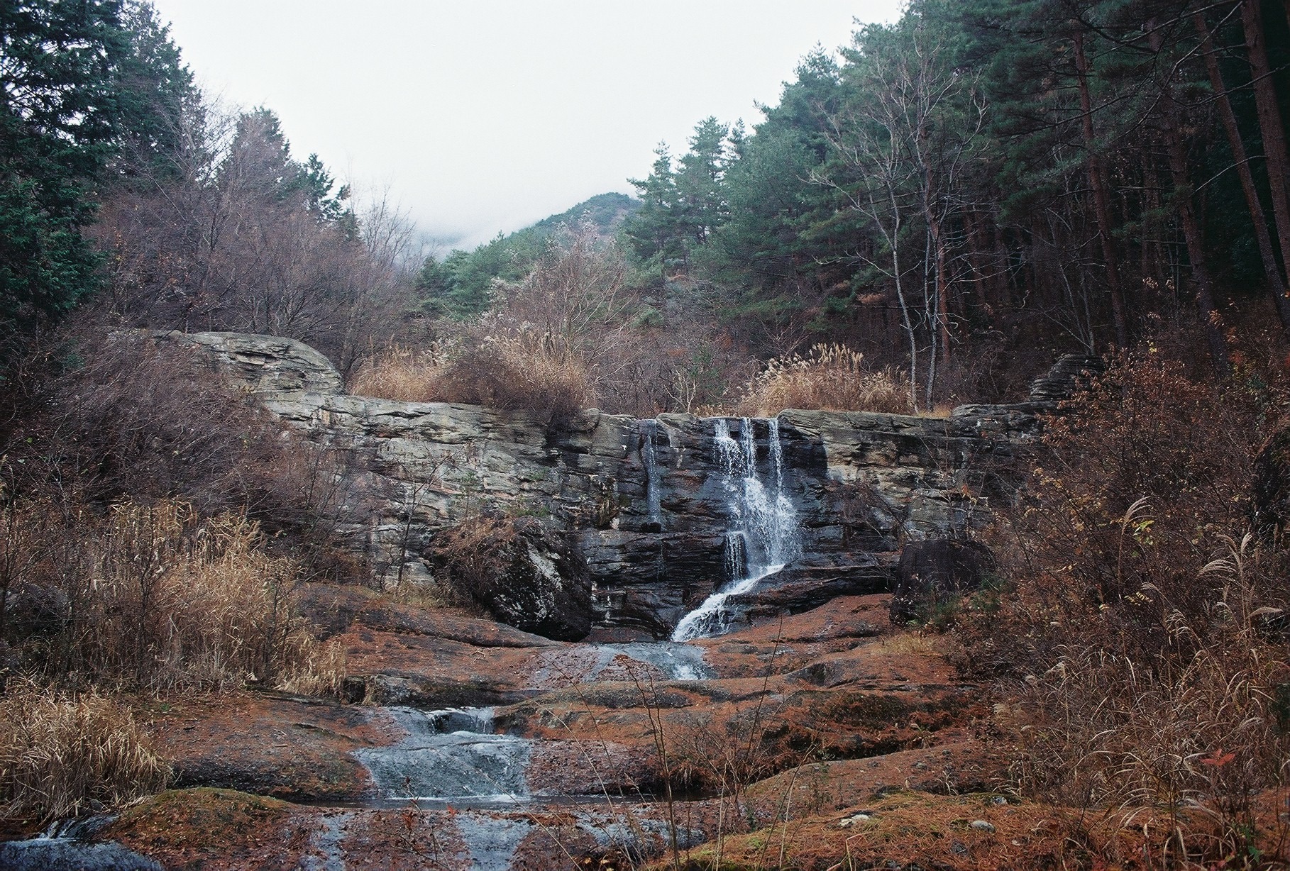 【近隣紹介】 三ッ峠山の登山道には雄大な自然を五感で楽しんでいただけます。