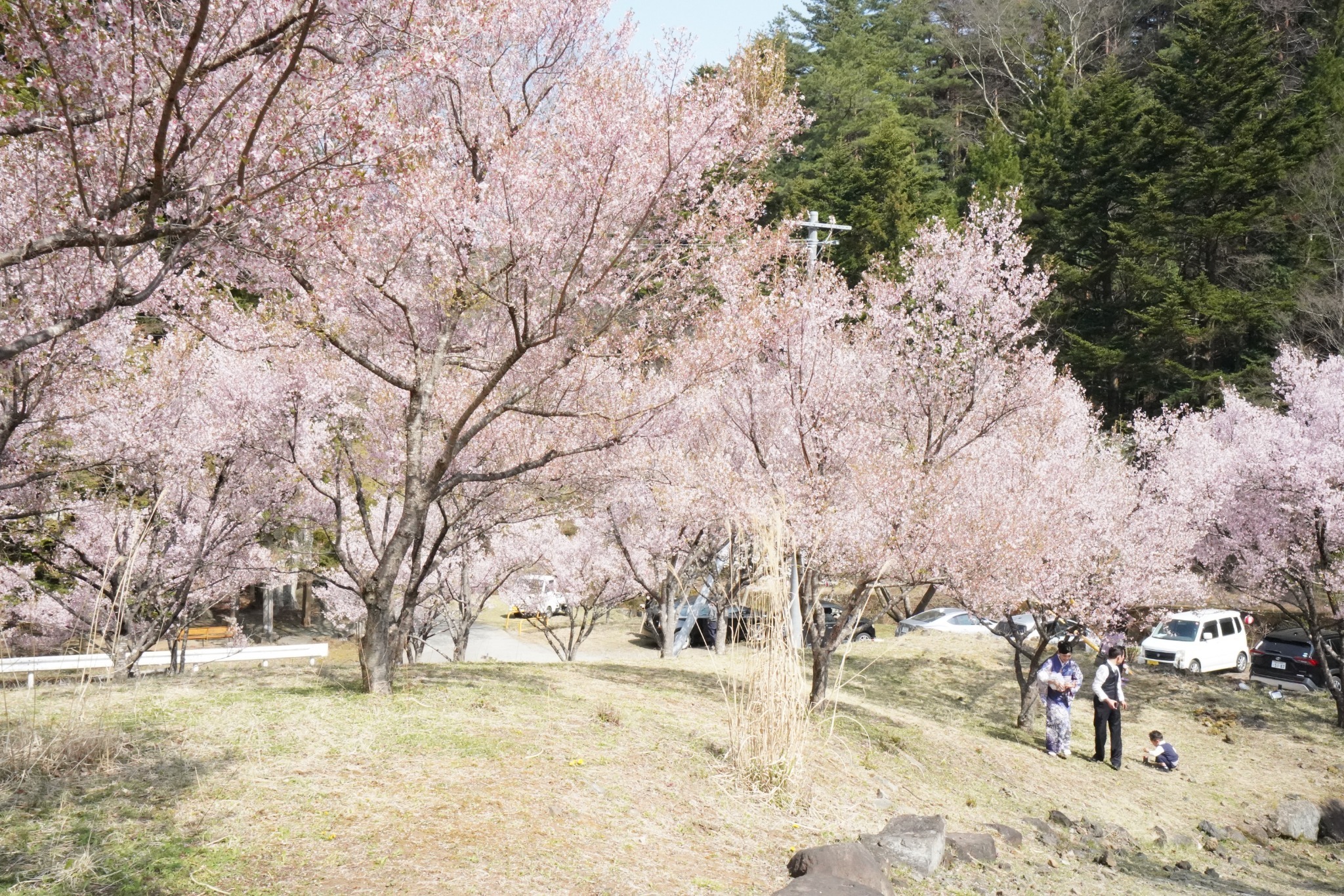 【近隣紹介】 "三ッ峠グリーンセンター"を奥に進むと、"三ッ峠さくら公園"があります。...