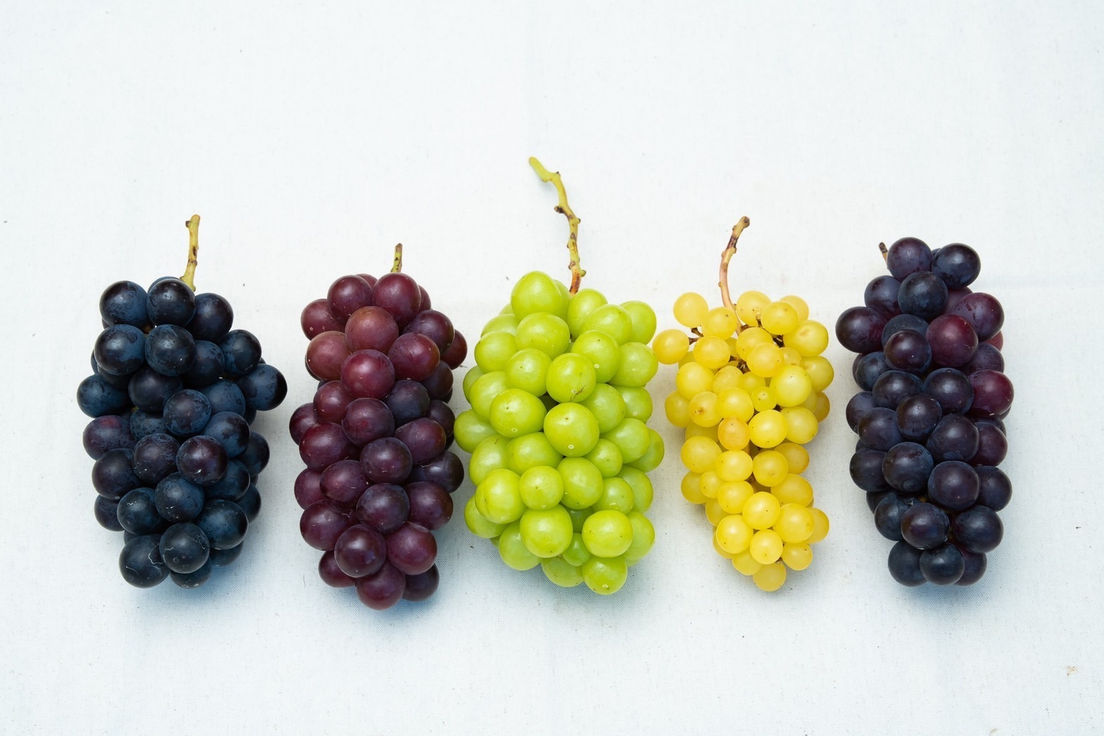 オプション体験