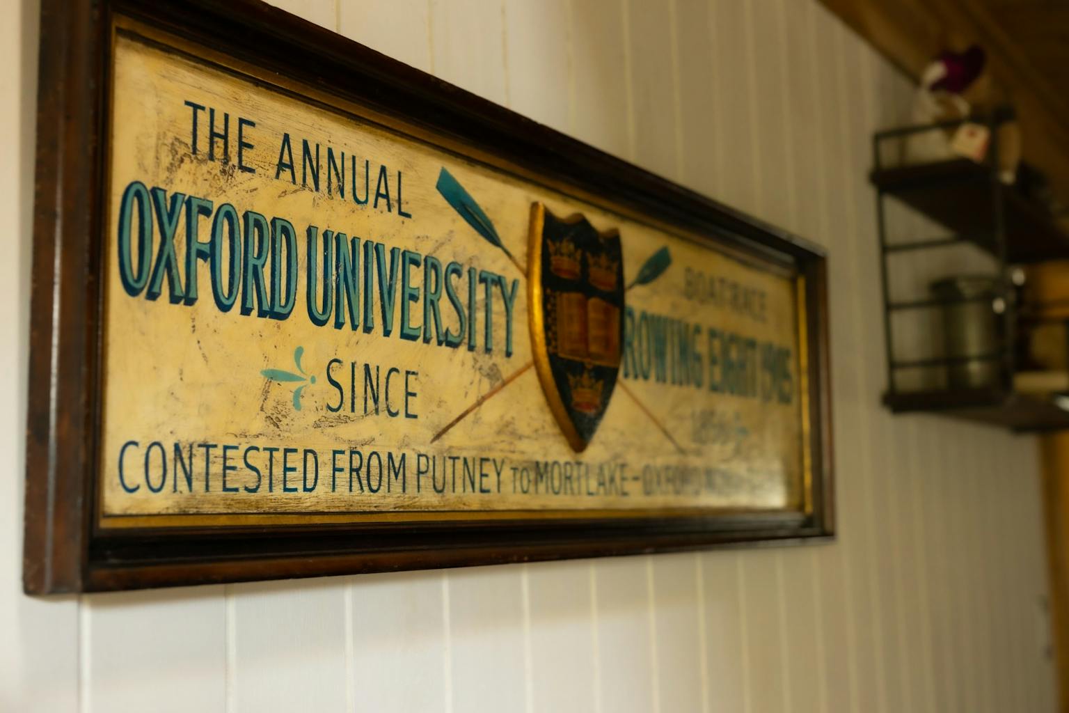 Flori　ディスプレイ