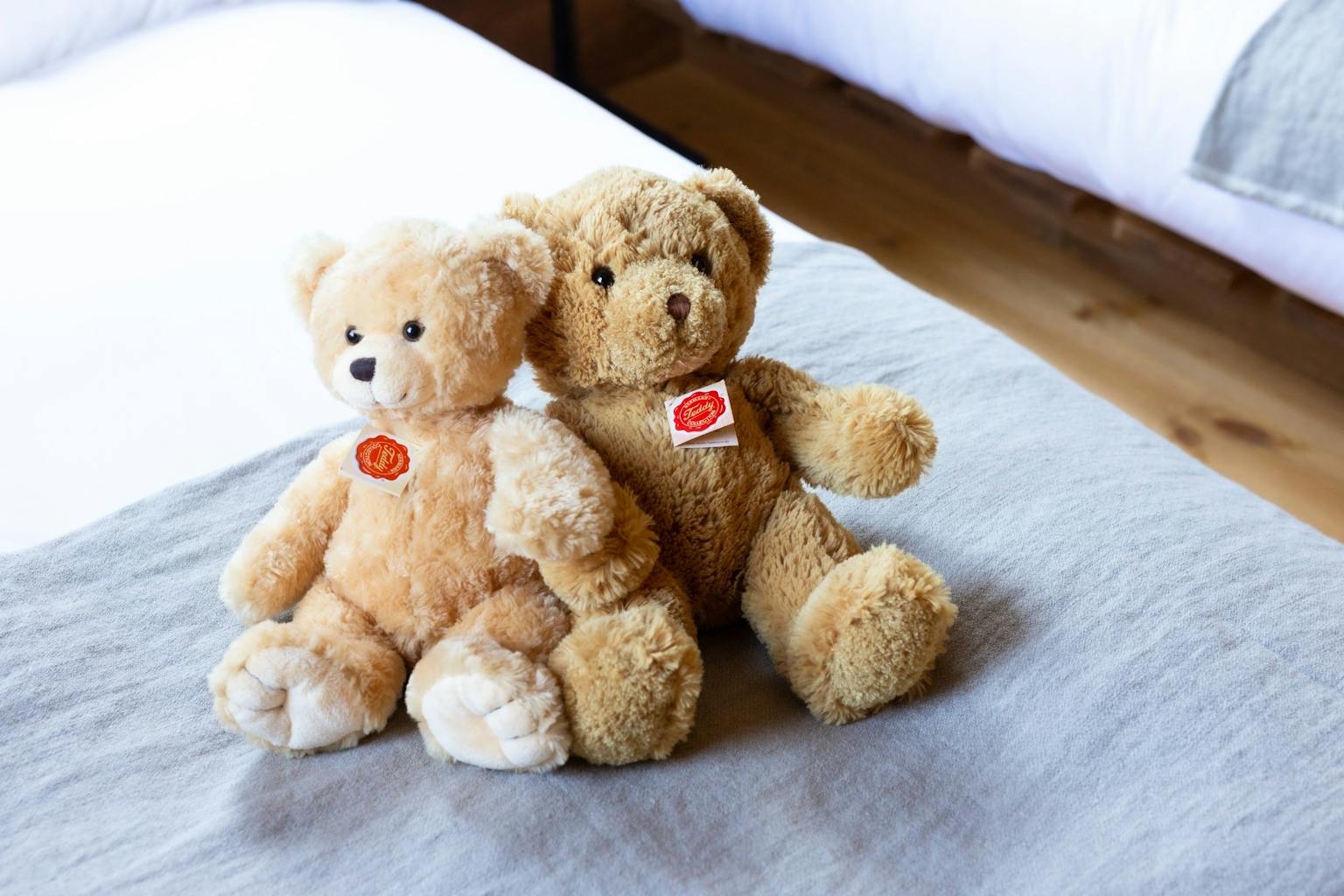 Lenz　お部屋のいたるところにテディベアが