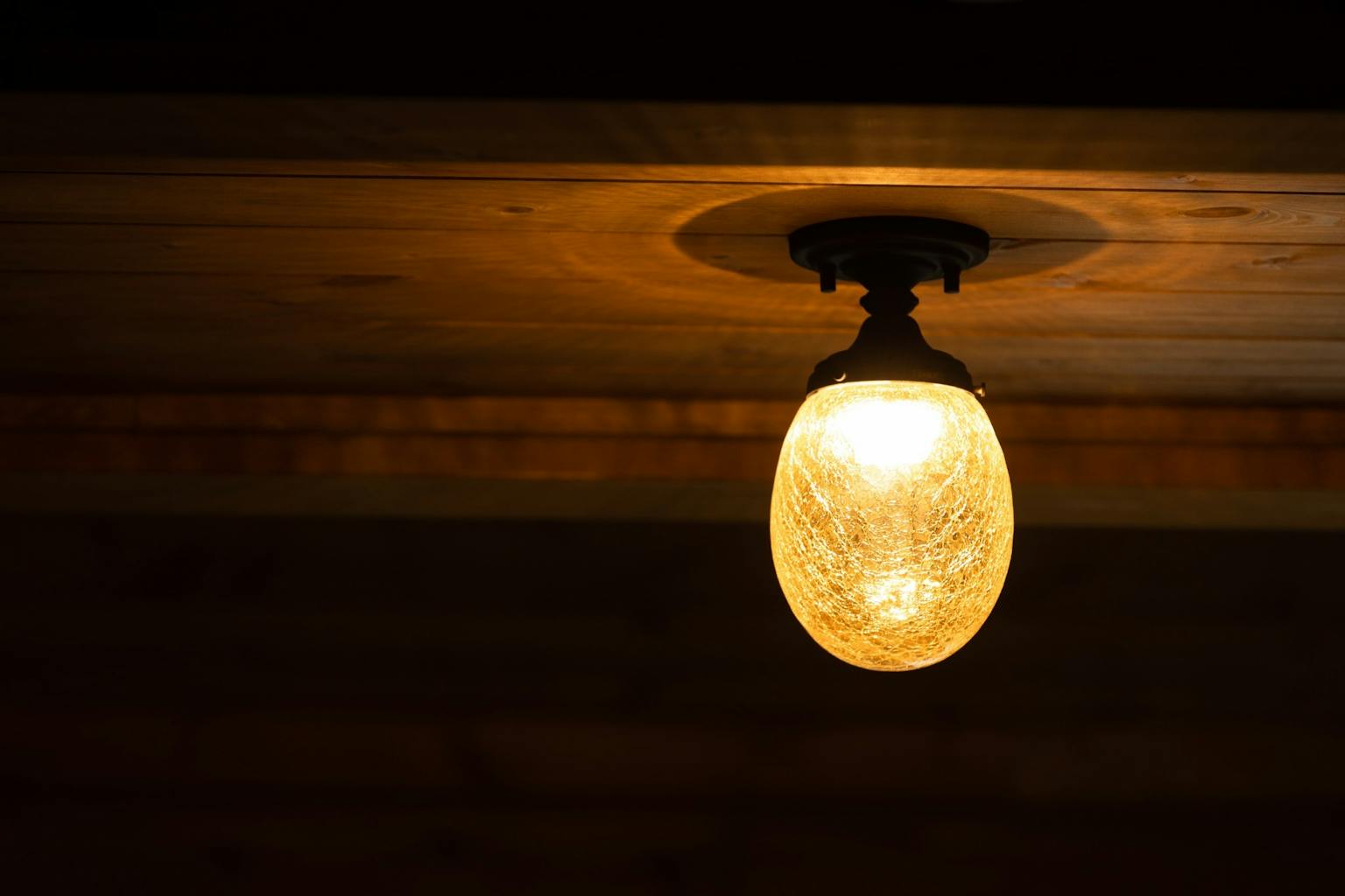 Flori　ディスプレイ