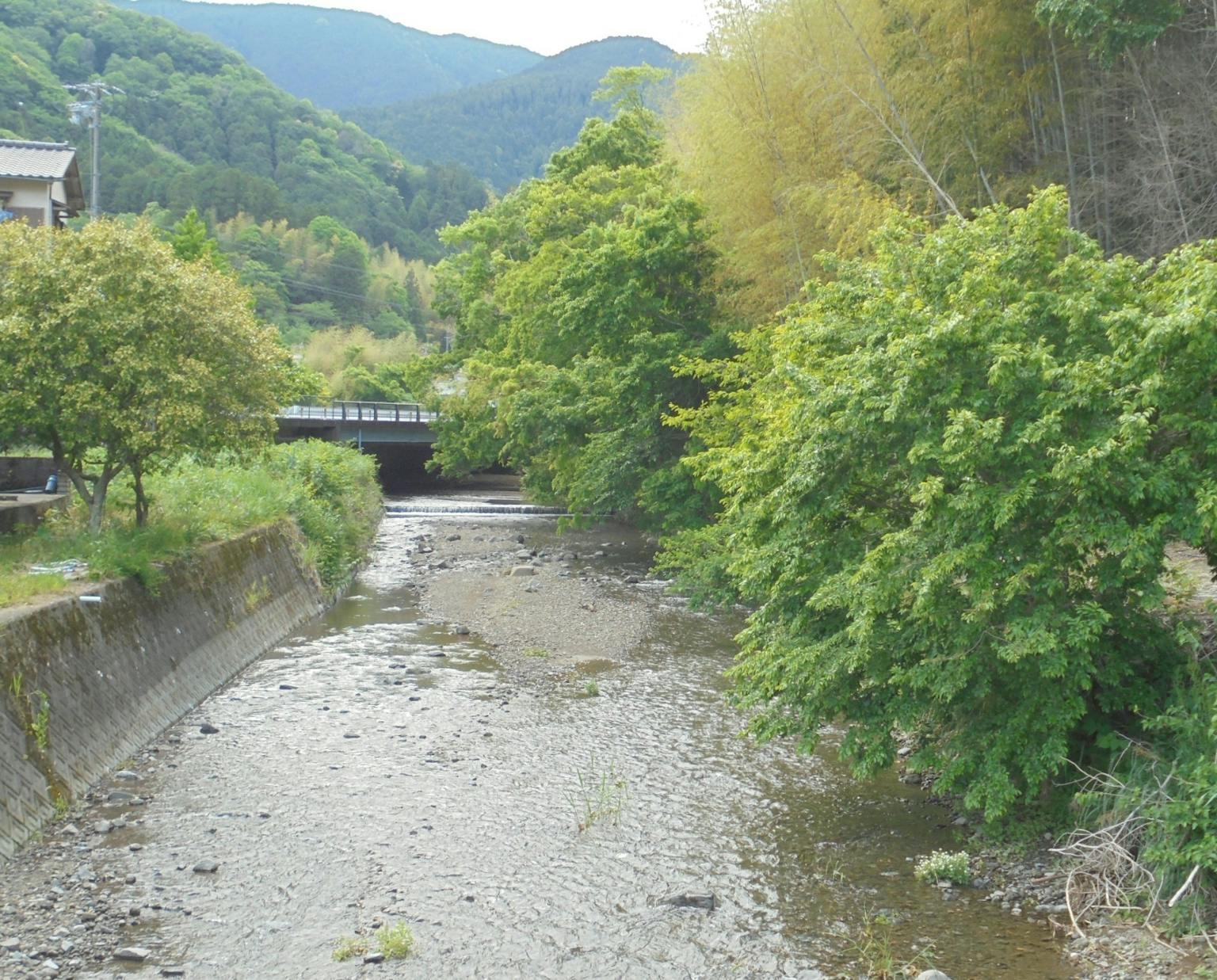 宿の北側に清流
