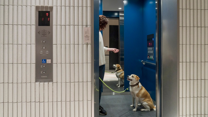 【エレベーター】ペットと同乗可能なエレベーターがございます