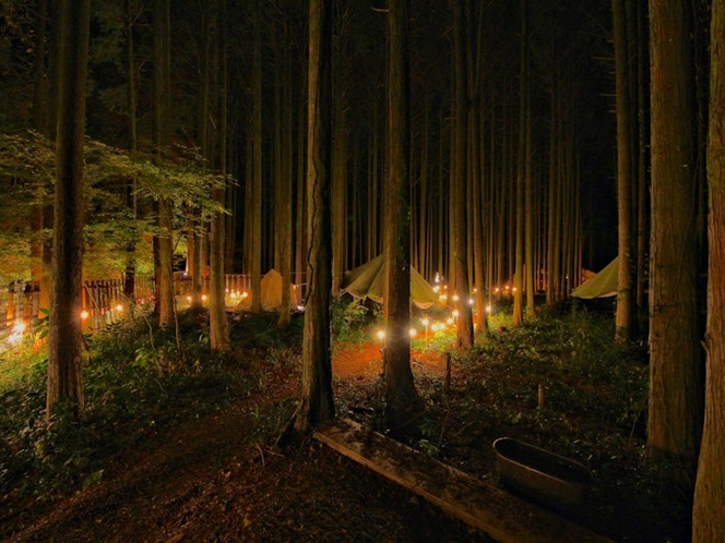 ・【テントサイト】幻想的な空間でのキャンプ体験は最高です