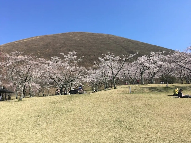 大室山、桜の里