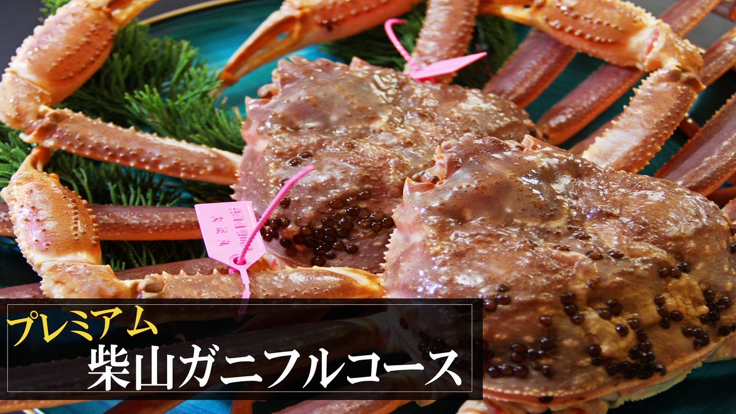 【本物の味】最高級タグ付きブランド≪柴山カニ≫贅沢を味わう至福のひと時を★豪華プレミアムフルコース★
