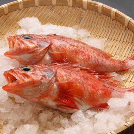 【夏旅セール】但馬牛と磯料理プラン