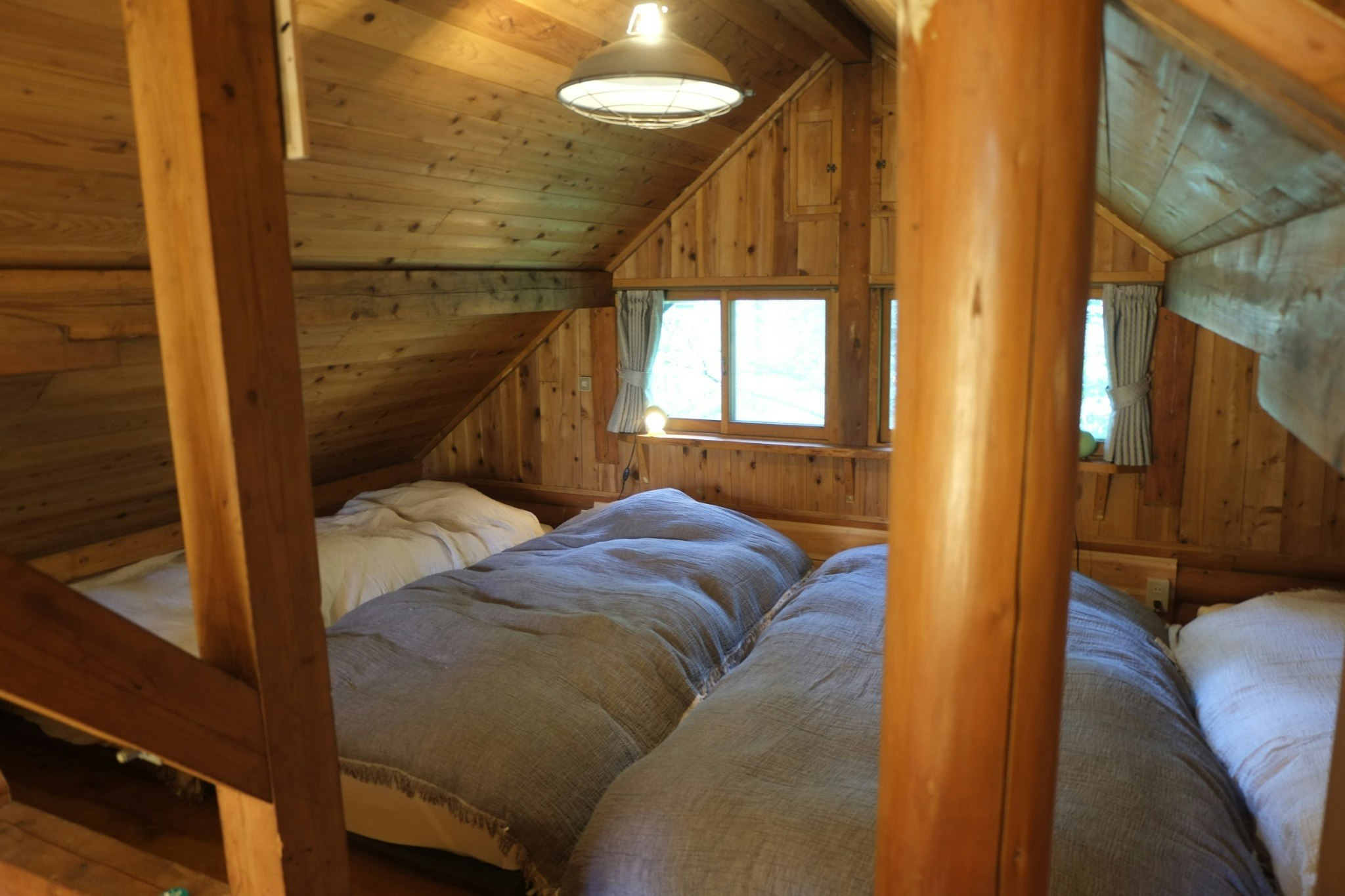 窓から鹿を見ることもあります