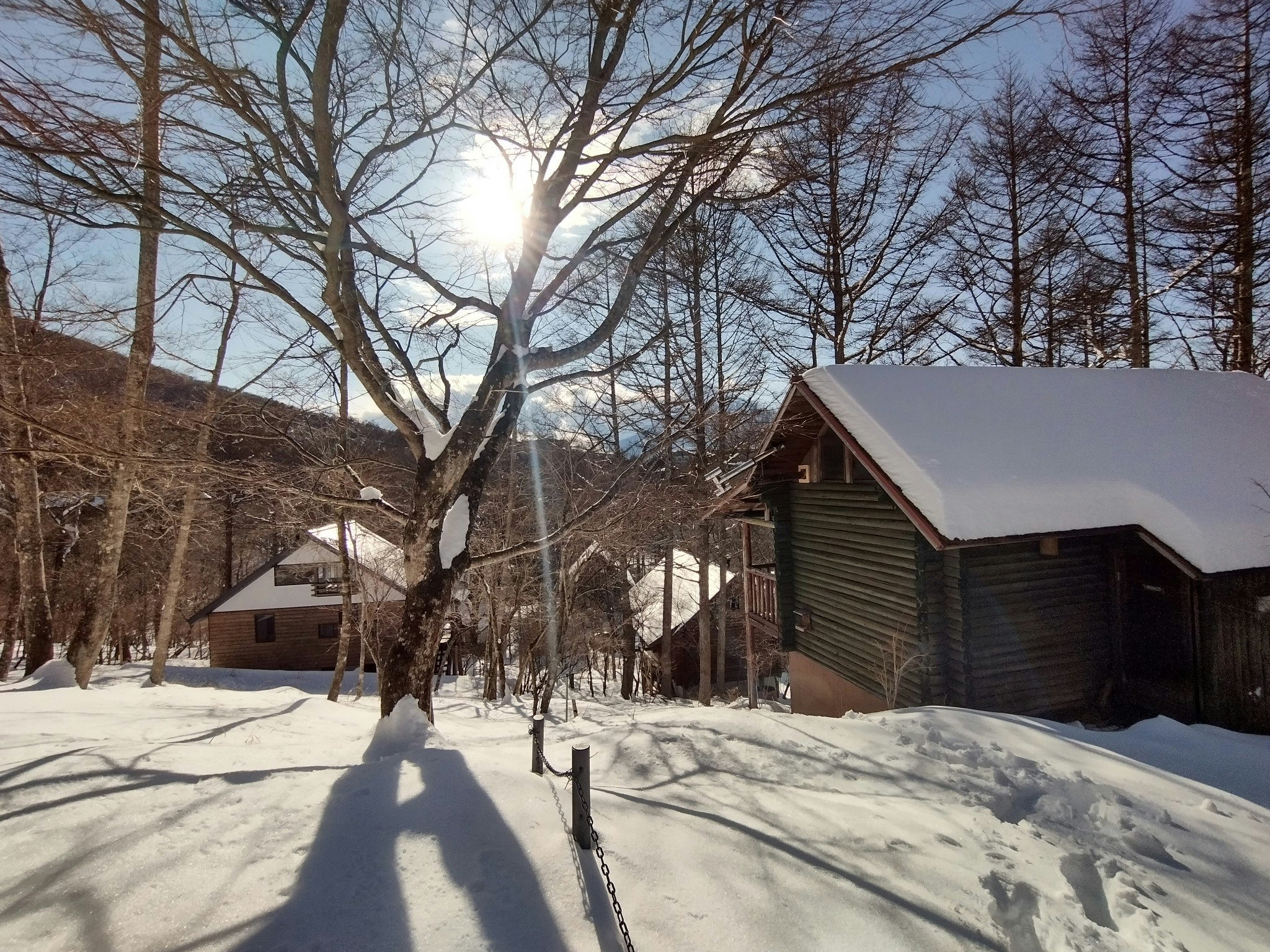 敷地上段道路からの別荘風景（'22冬）中央が「BROWN LOG」、左が「△HOUSE」