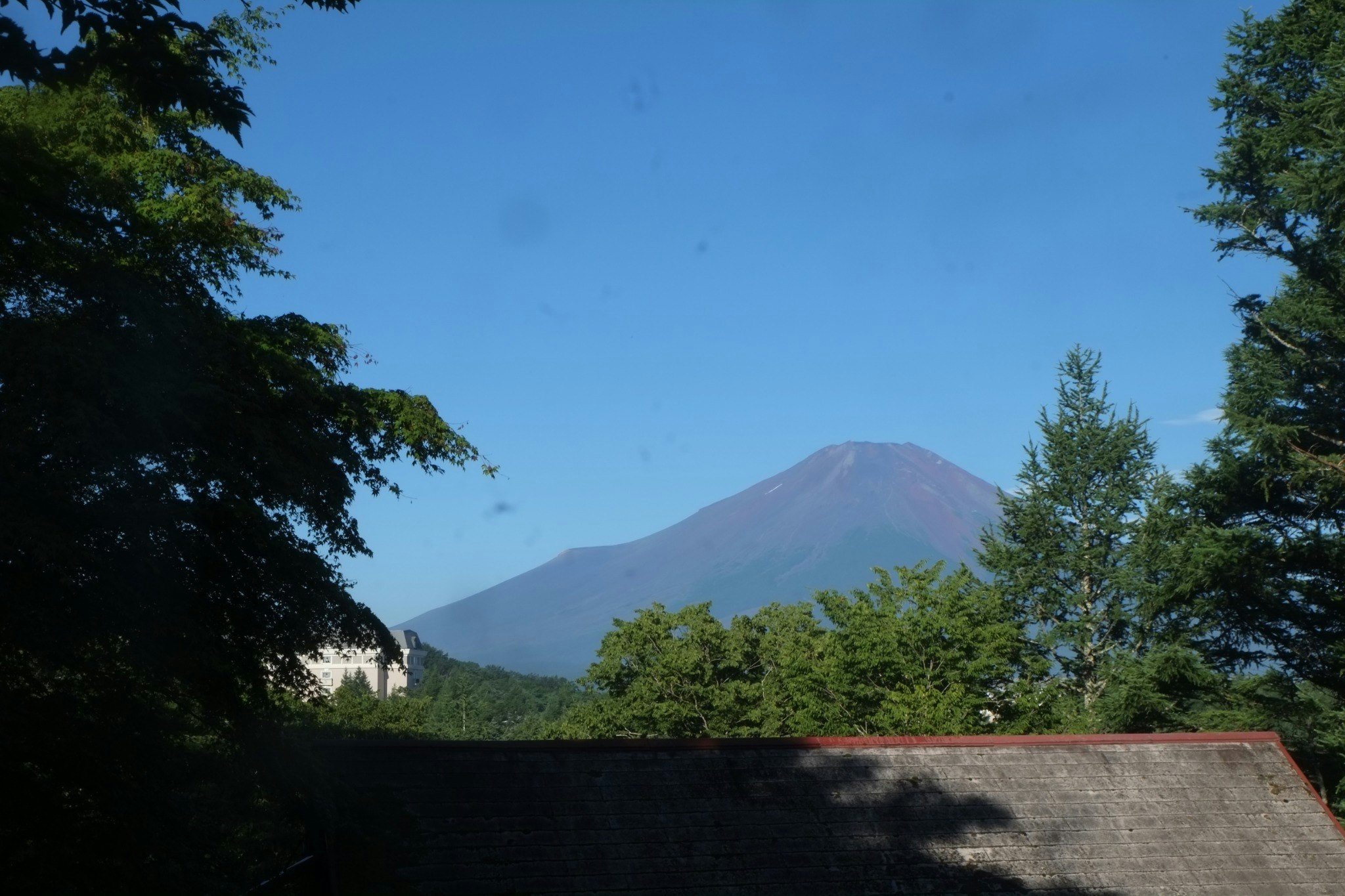 敷地の上段道路からの風景になります