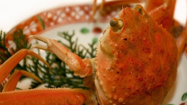 冬11/6〜1/11まで★　内子・外子も美味♪「せこかに」付きフルコース　『　夕なぎ　』プラン