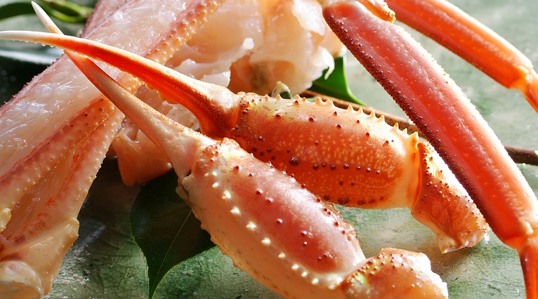 冬11/6〜4/5まで★かに刺し・焼き・茹で・しゃぶちり★松葉かにフルコース『　白波　』プラン