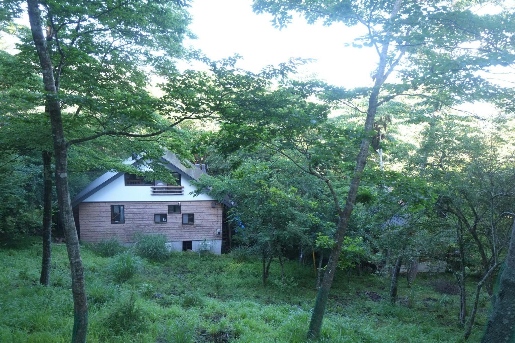 建物裏、斜面上からの風景