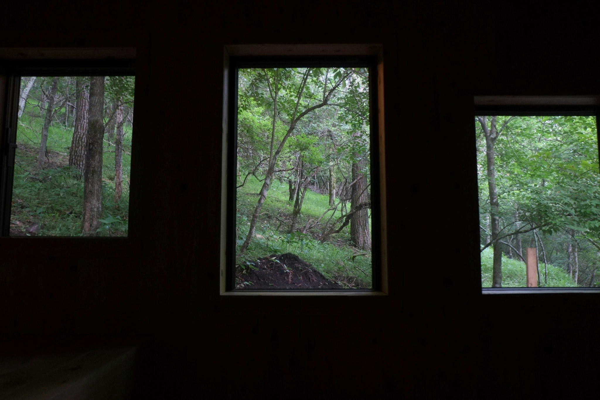 4層構造の窓、解放感があるサウナです