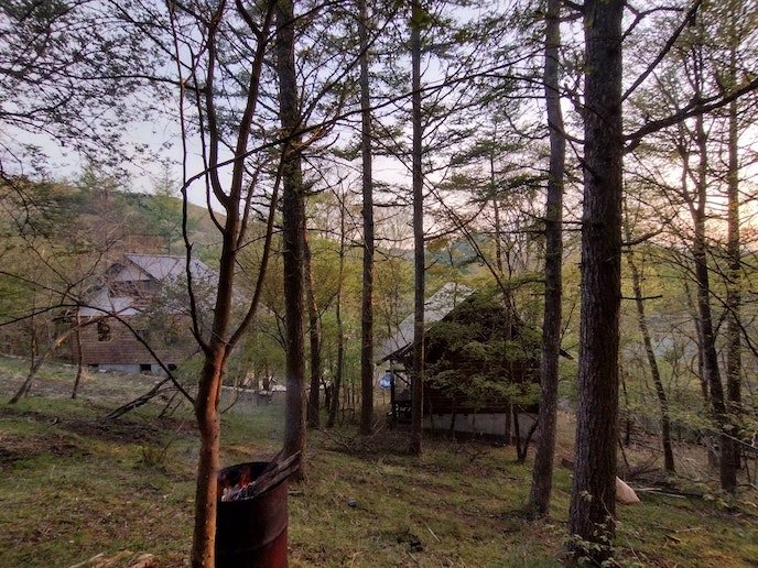 別荘敷地上部の斜面から撮影(’22冬)、左が「△HOUSE」、右「BROWN LOG」