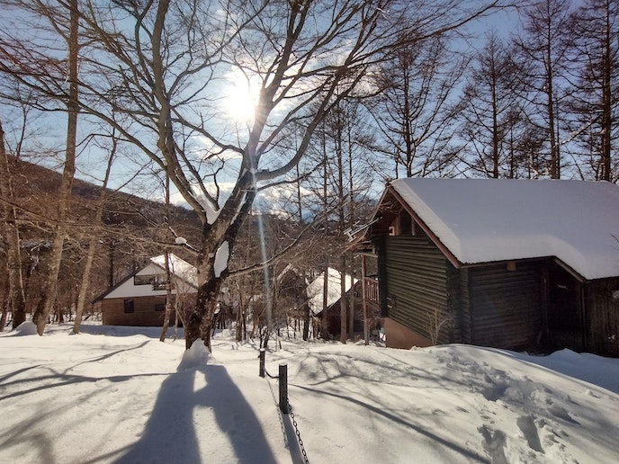 別荘敷地上段の道路から撮影(’22冬)左が「△HOUSE」中央「BROWN LOG」