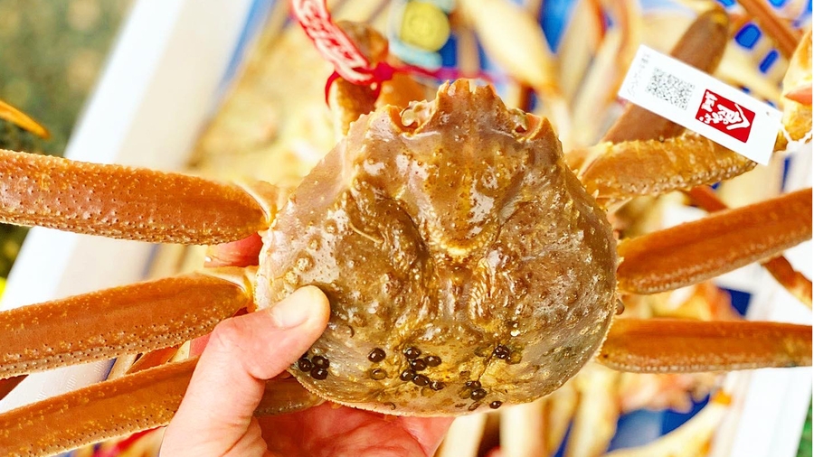 ちょっぴり贅沢に♪かに鍋まんぷくプラン！食前酒（福井地酒）付き【1泊2食付】