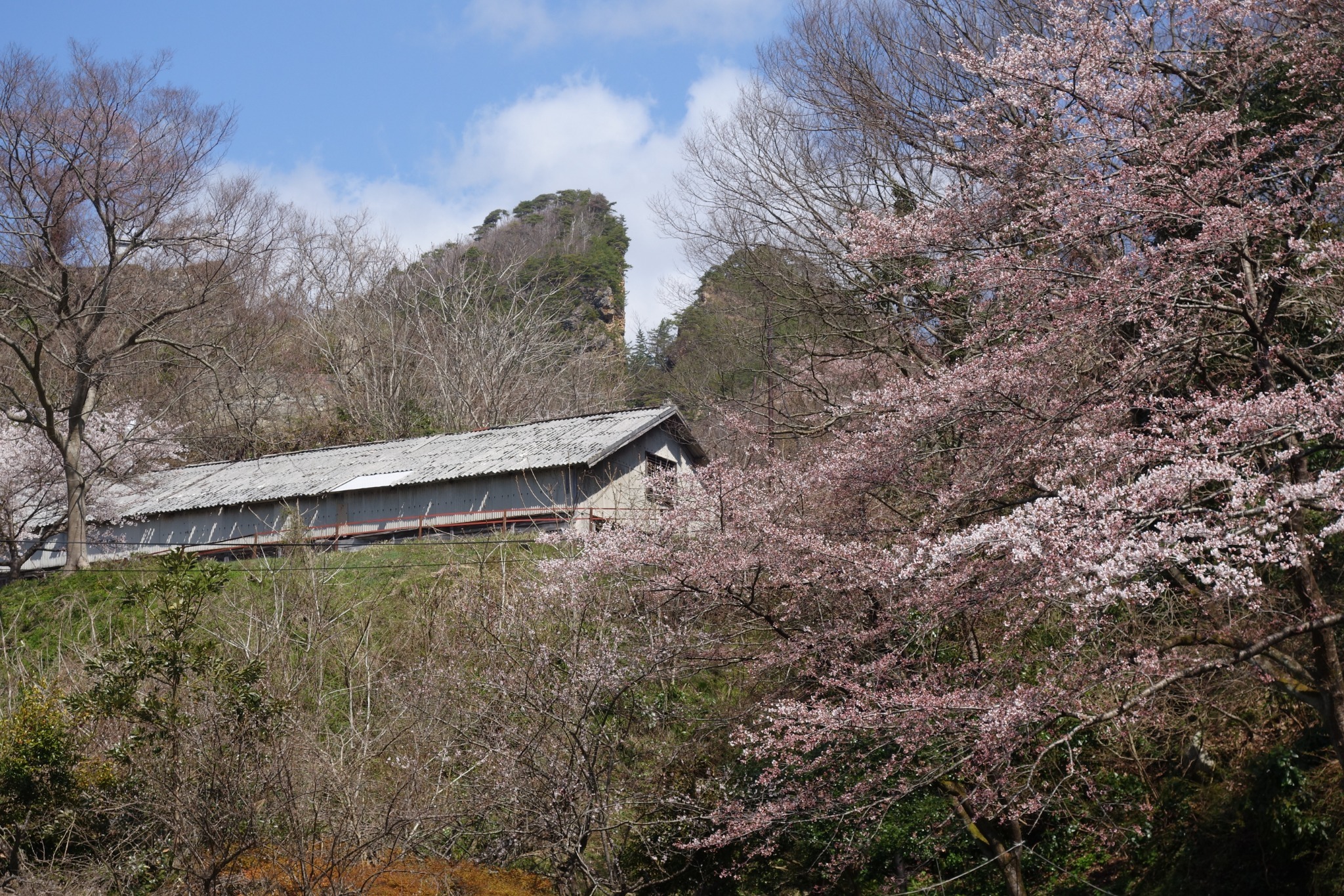 佐渡金山まで1.5Km