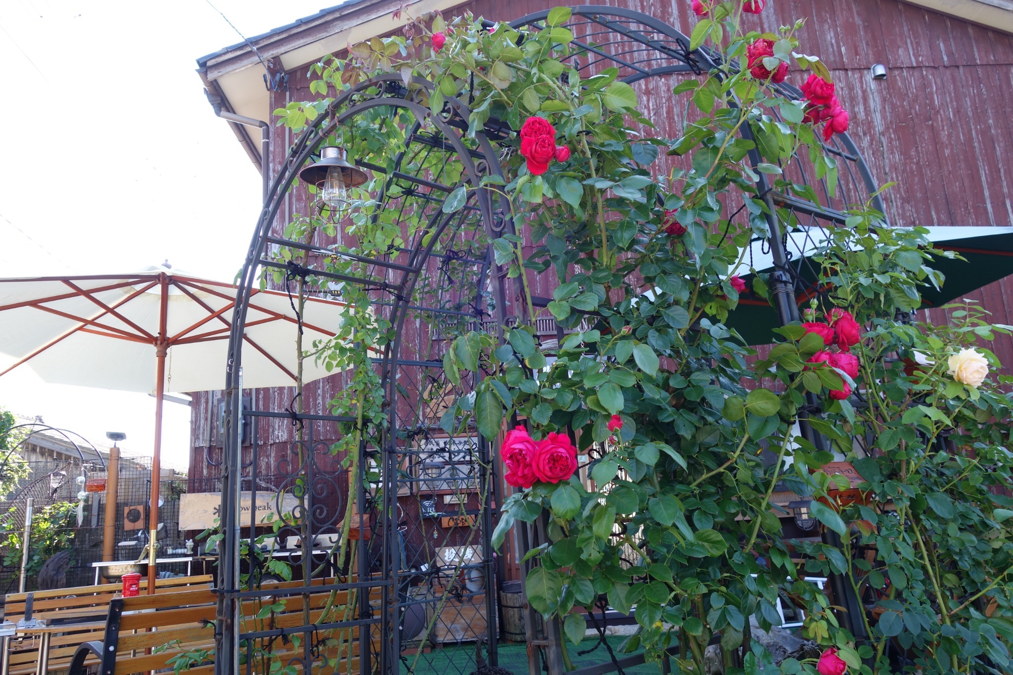 自然心遊　テラス薔薇アーチ