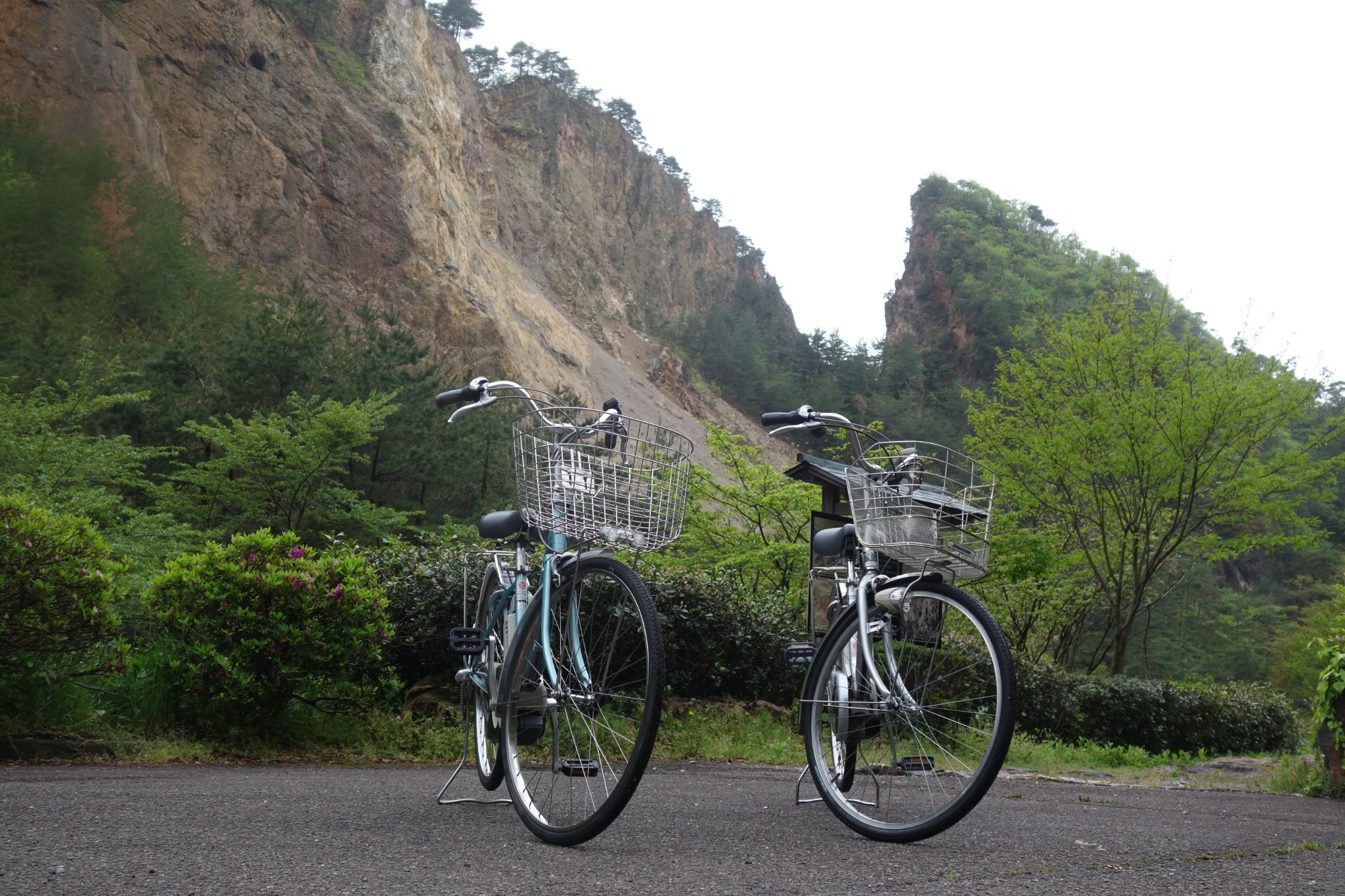 自然心遊　レンタルアシスト自転車