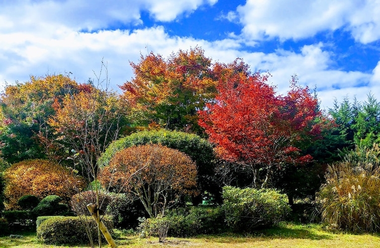 秋の庭