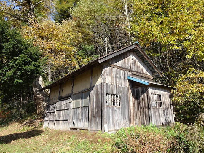 敷地のはずれにある住宅造りの小屋