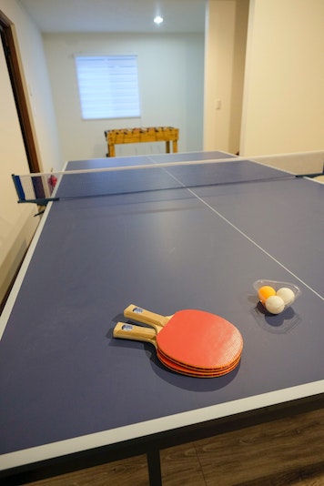 Game room - table tennis