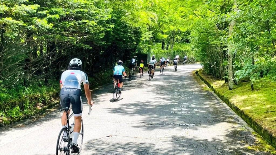 【山中湖のアクティビティ】プロと走る！ガイド付きサイクリングツアー