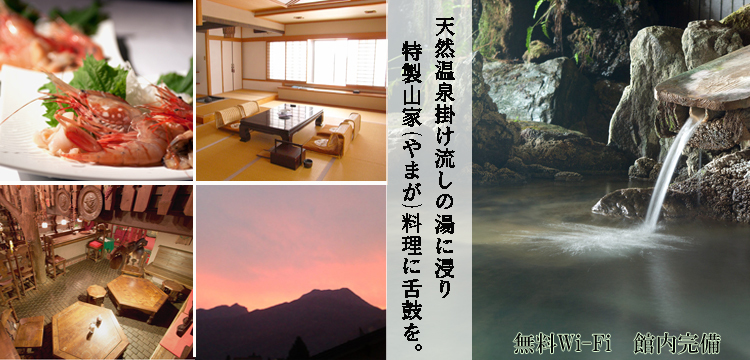 写真1