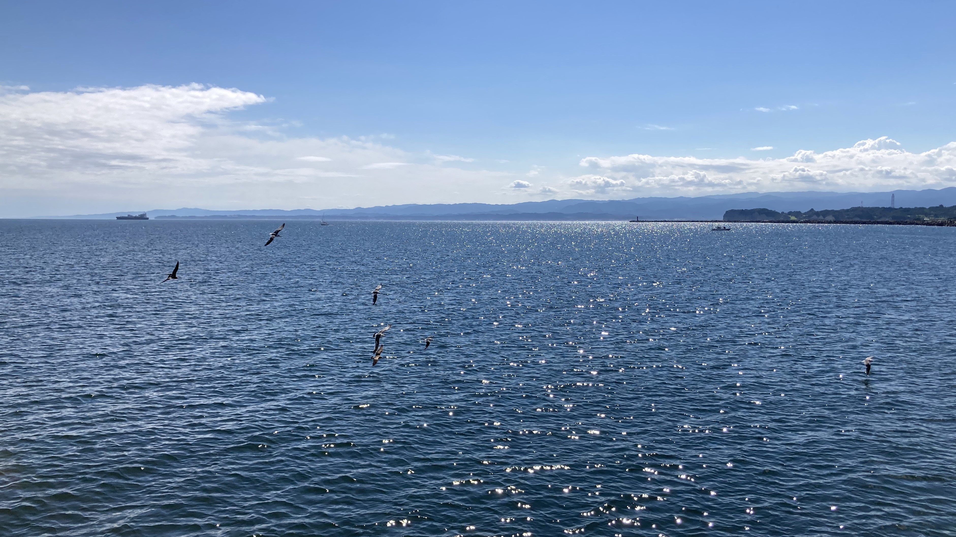 いわきの海